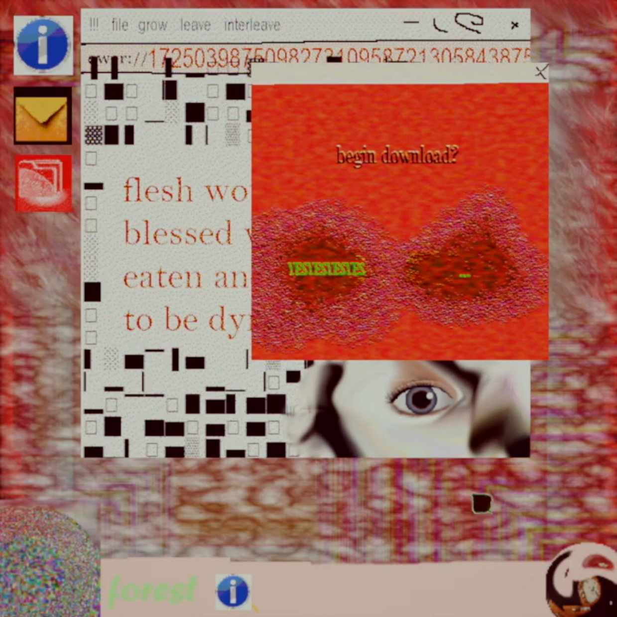 ddf cover